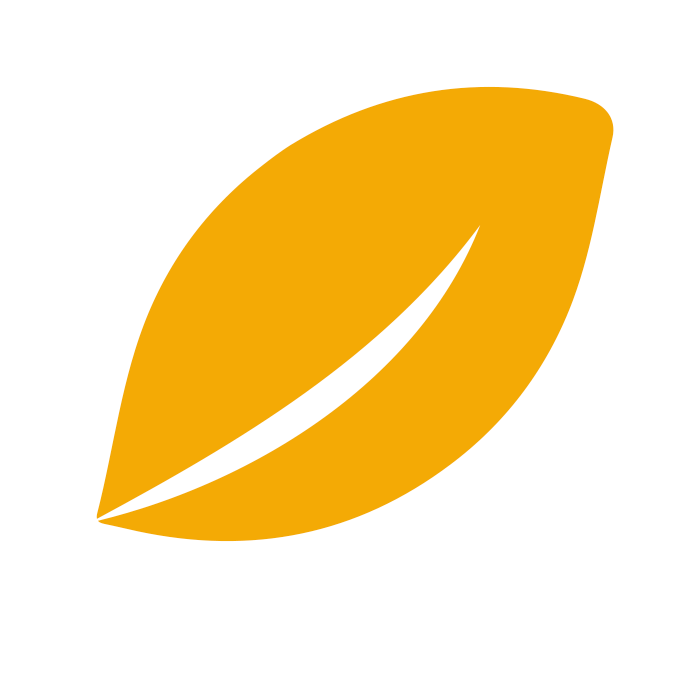 maiz food favicon