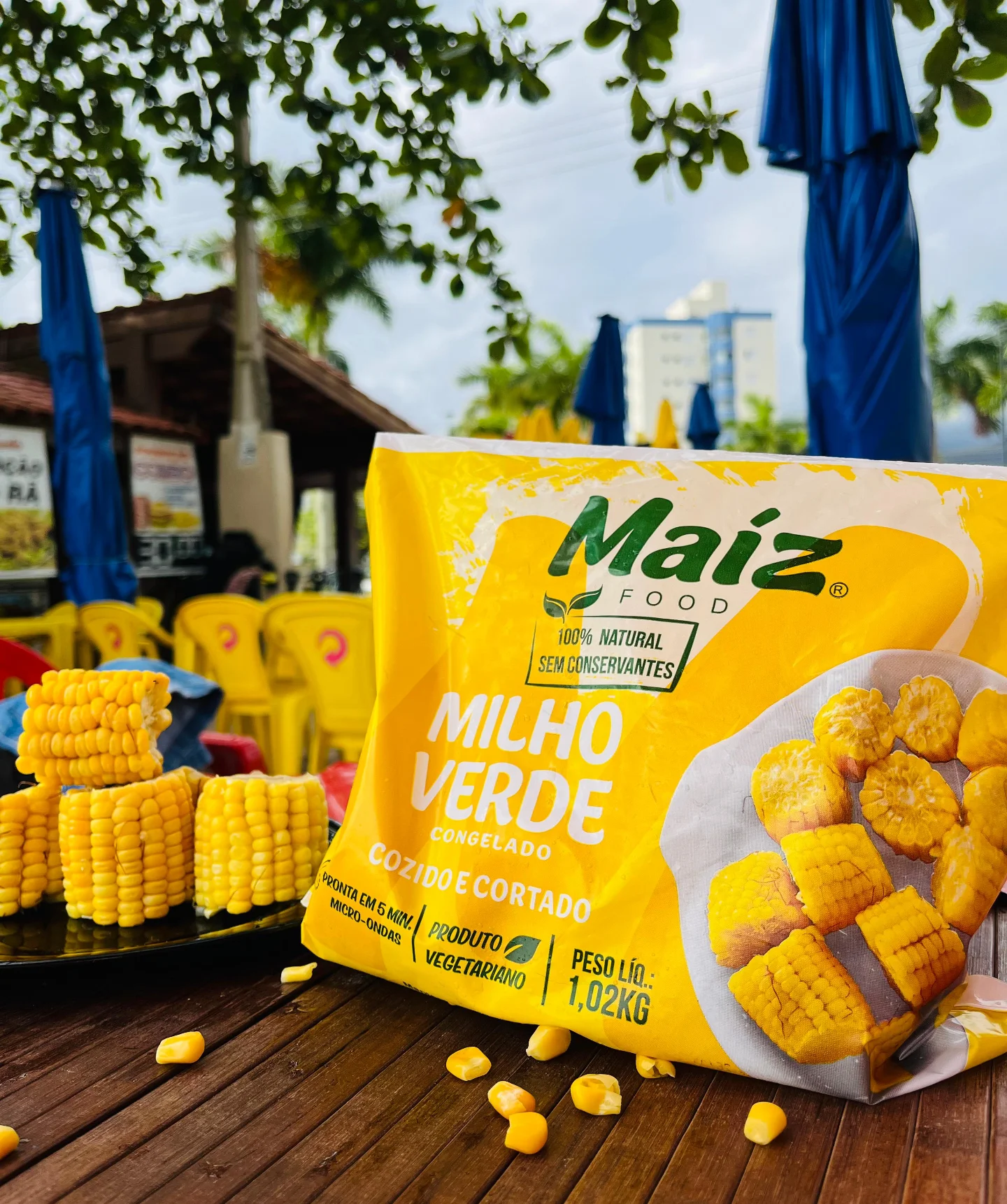 maiz food milho pamonha franquia (2)